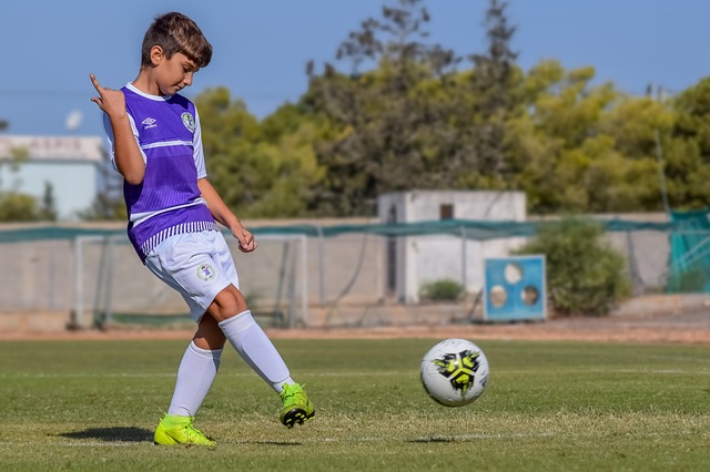 以培养标准 以培养标准