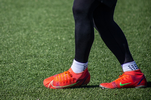 範德貝克在 範德貝克在