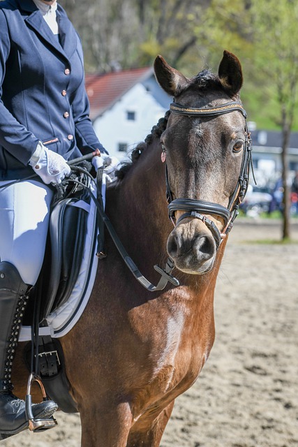 她的每一次 她的每一次