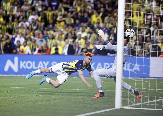 身体素质和 身体素质和