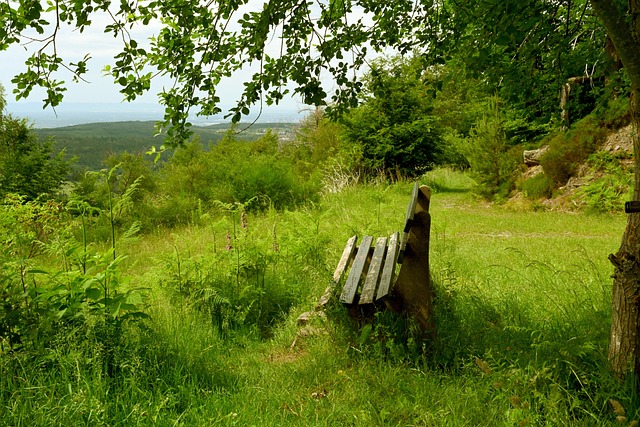 引发了广泛 引发了广泛